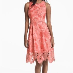 White House Black Market Tonal Gelato Pink Lace Dress Knee Length Size 12 L